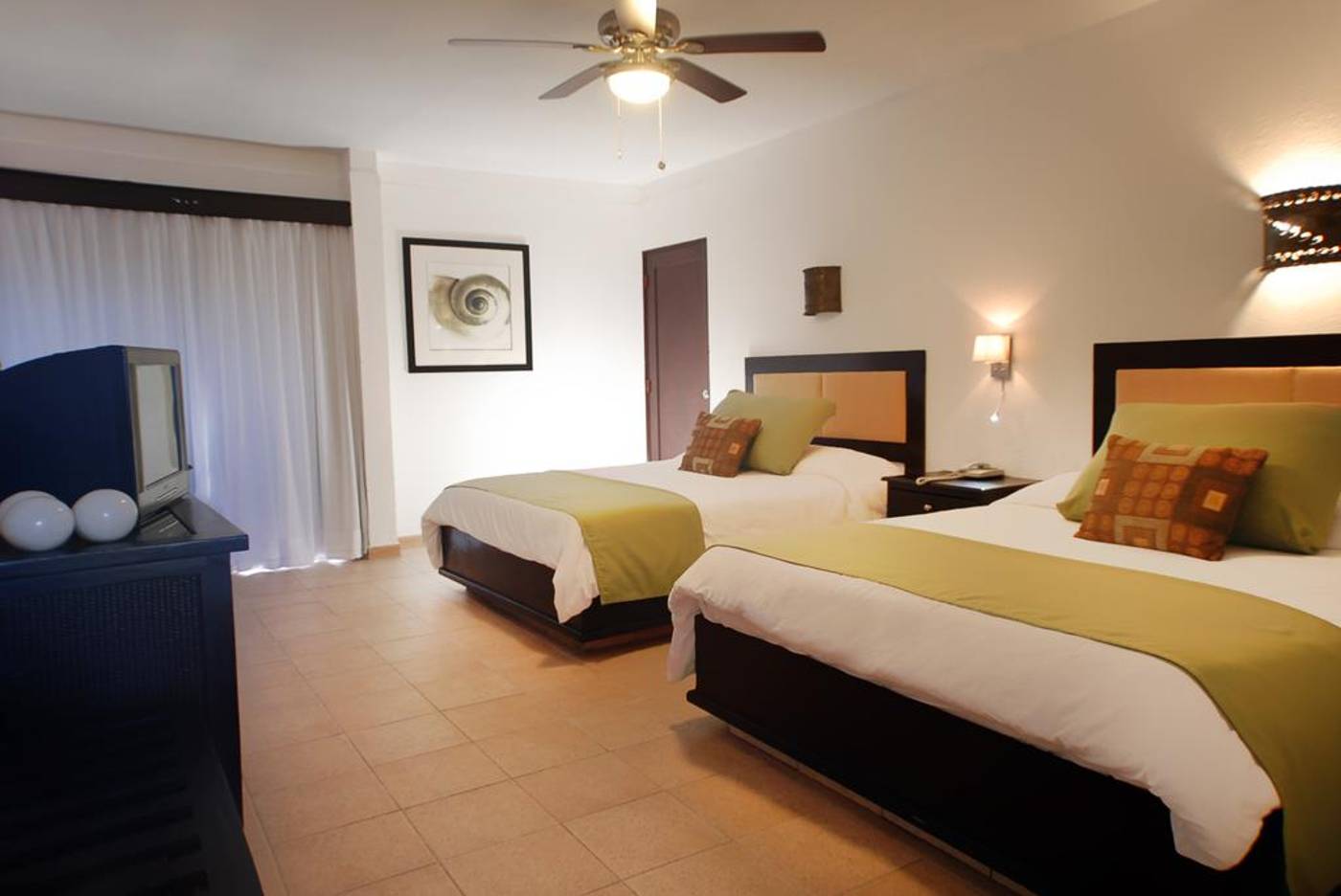 Coral Costa Caribe