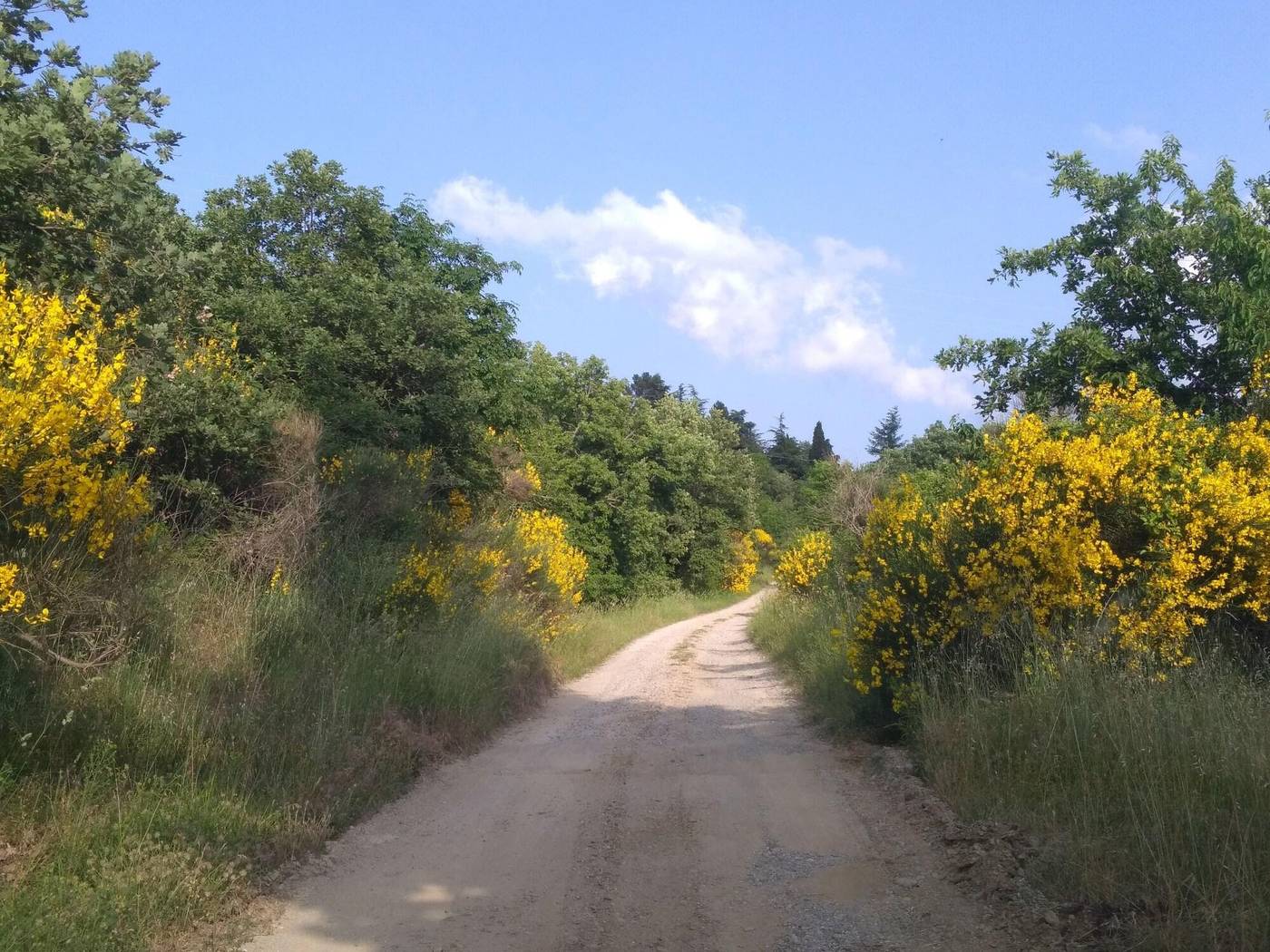 Bed And Breakfast Country Hill-Italy-AREZZO-General view-8