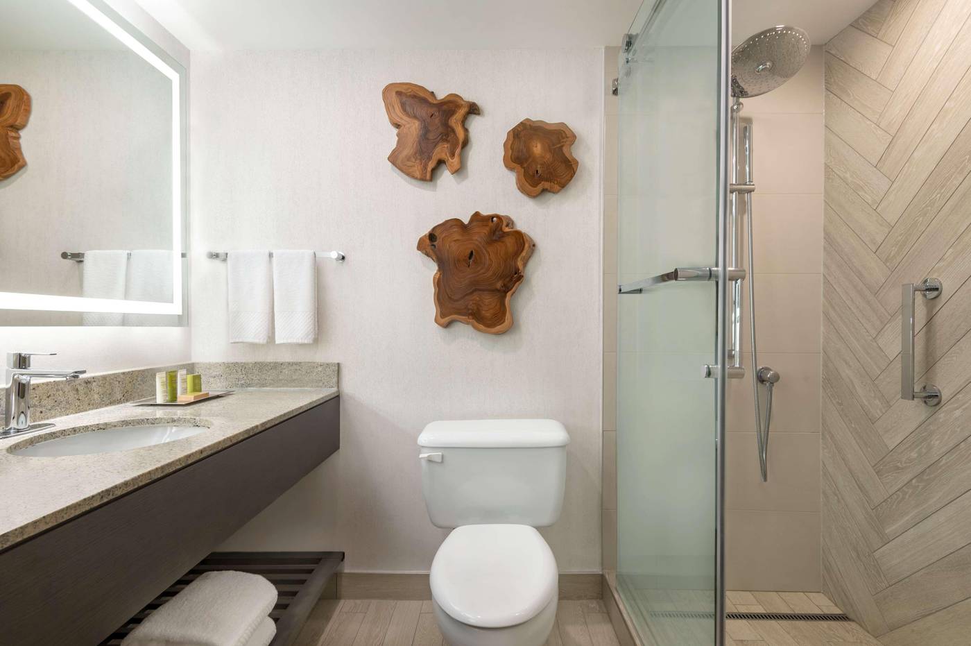 Hilton-Vancouver-Airport-Room-39