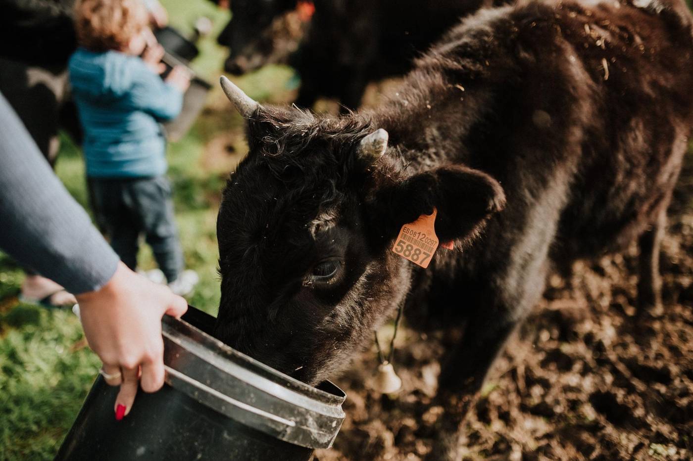 Posada Somavilla-Spain-RIBAMONTAN AL MAR-General view-10