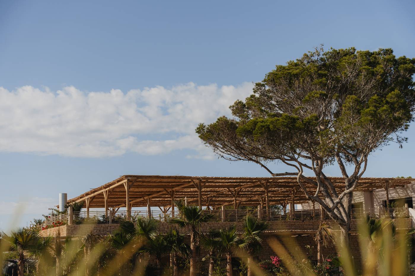 Fergus Punta Arabi IBZ