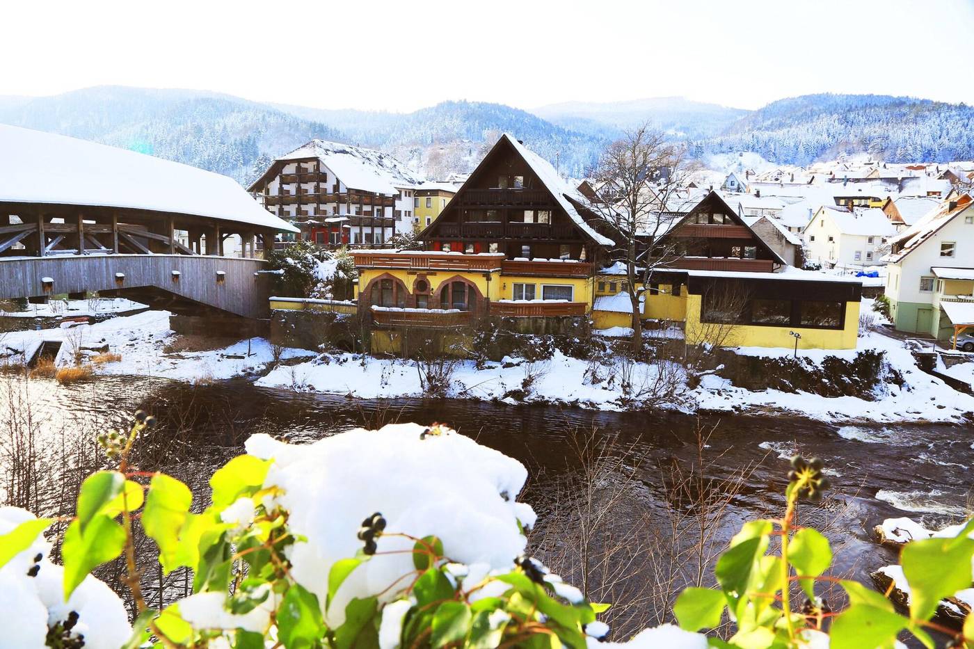 Das Waldhaus-Germany-FORBACH-General view-9