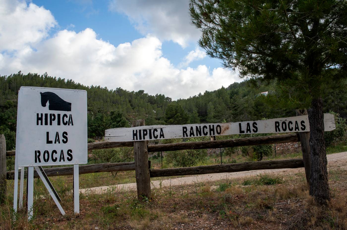 Pierre---Vacances-Bonavista-de-Bonmont-Sports-and-Entertainment-24