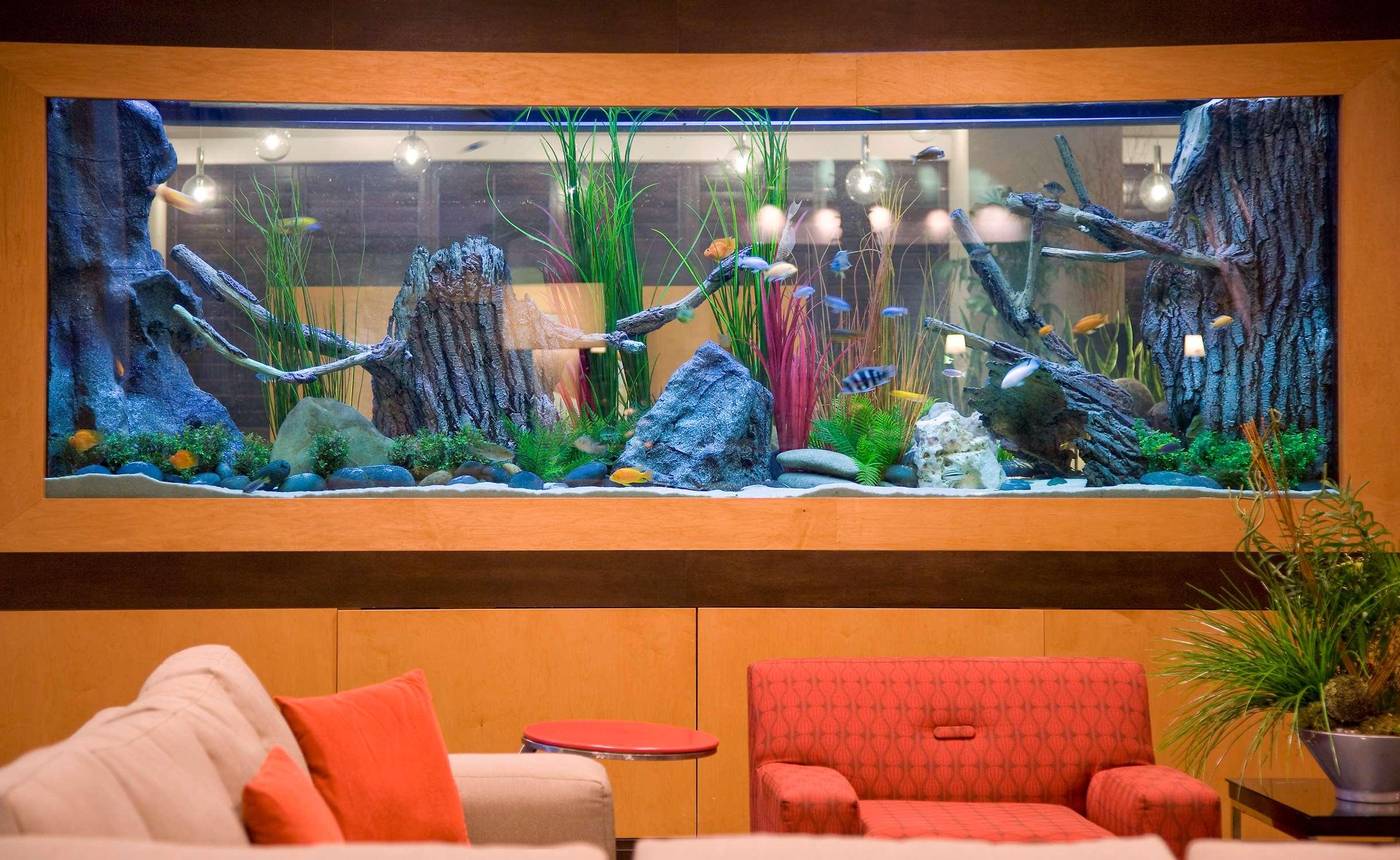 Embassy Suites by Hilton Houston Energy Corridor-United States-HOUSTON-Lobby-4