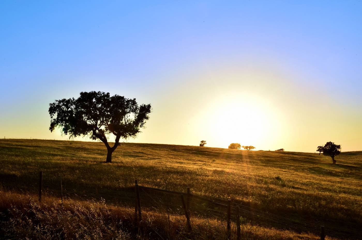 Pousada Castelo de Estremoz-Portugal-ESTREMOZ-General view-4