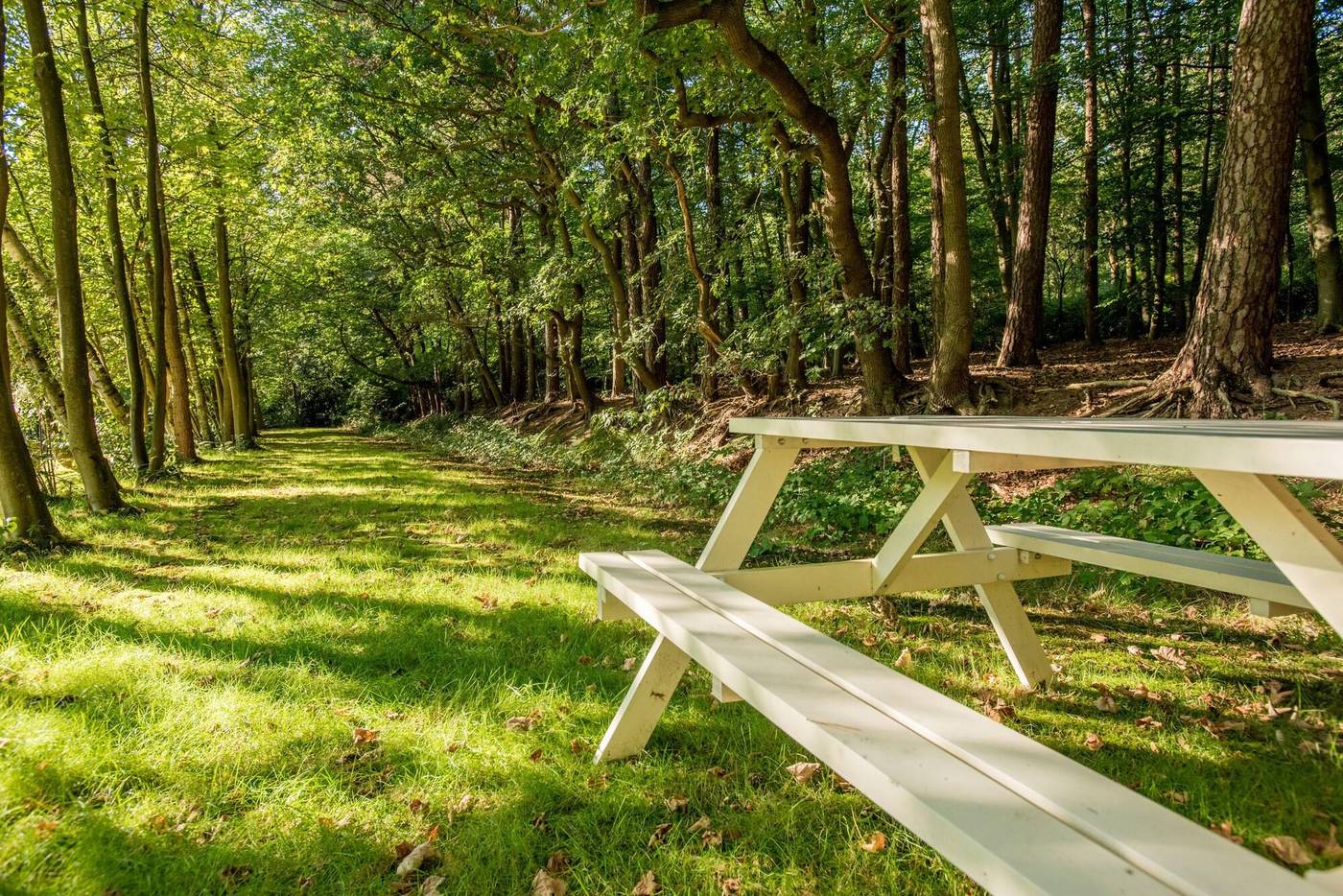 Hotel Ernst Sillem Hoeve-Netherlands-DEN DOLDER-General view-7