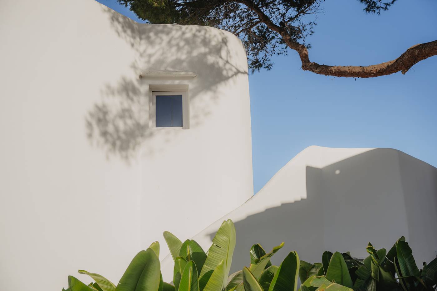 Fergus Punta Arabi IBZ