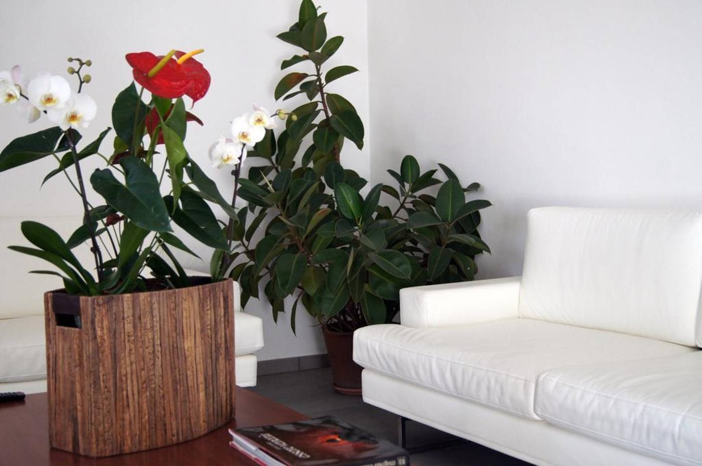 Paris-General-view-9