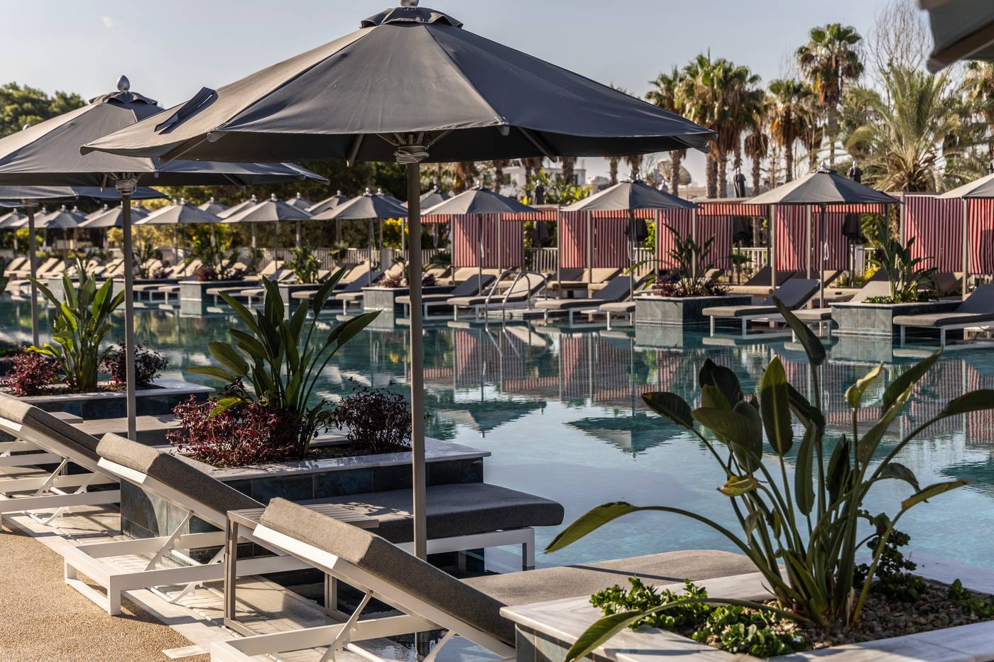 Cali Resort & Spa by Louis Hotels