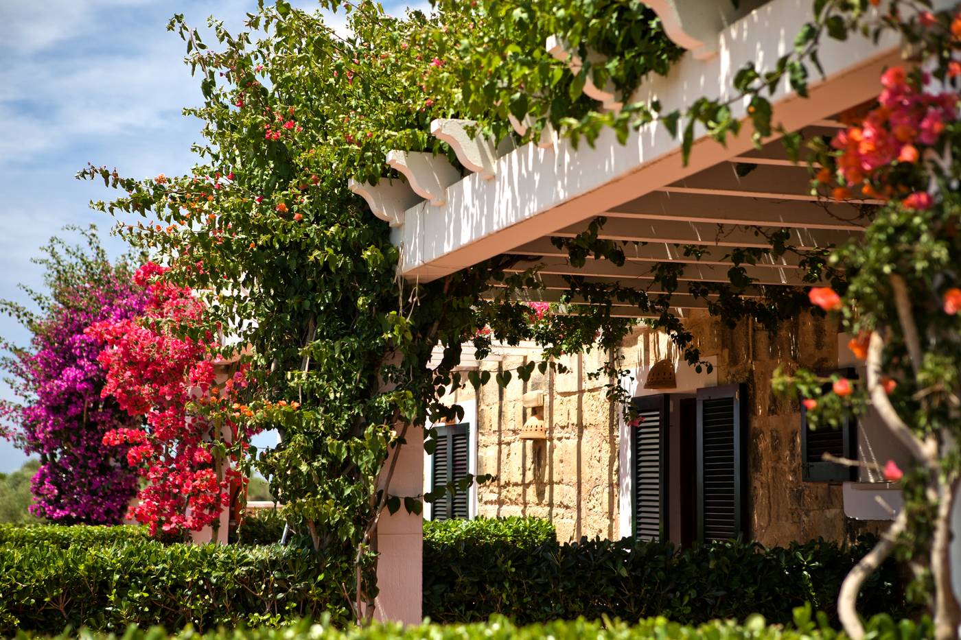 Rural-Morvedra-Nou-Terrace-12