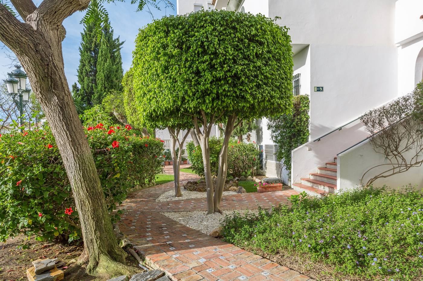 Royal-Oasis-Club-at-Pueblo-Quinta-General-view-12