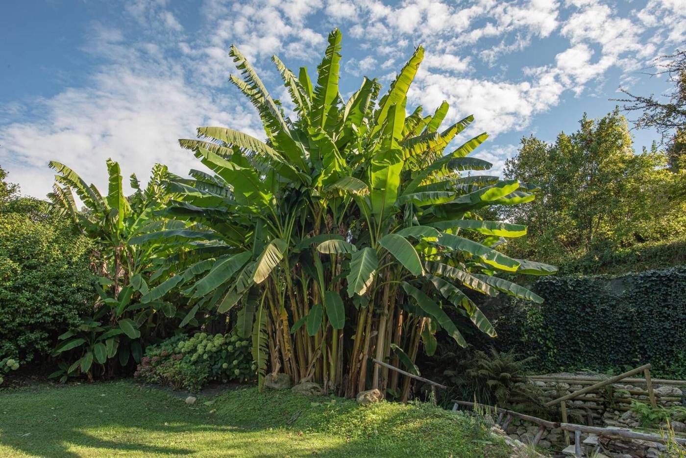 Relais-Corte-Rodeschi-General-view-4