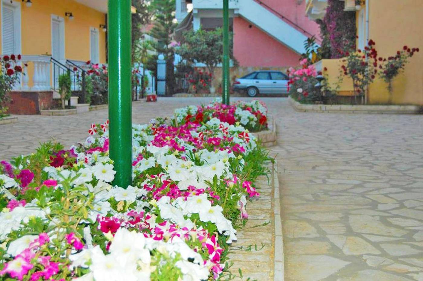 Lemon-Grove-General-view-9