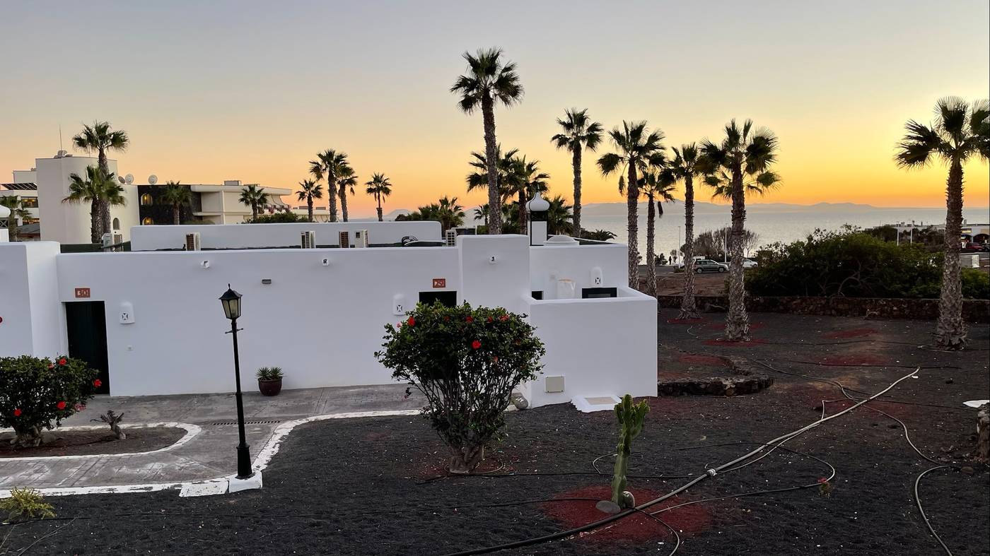 Palmeras-Garden-General-view-9