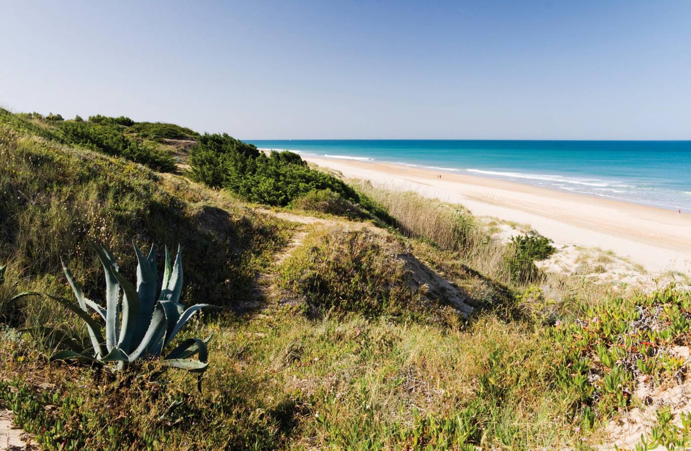 Riu-Chiclana-Beach-47