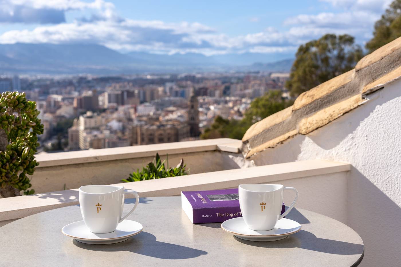 Parador-de-Malaga--Gibralfaro-Room-64