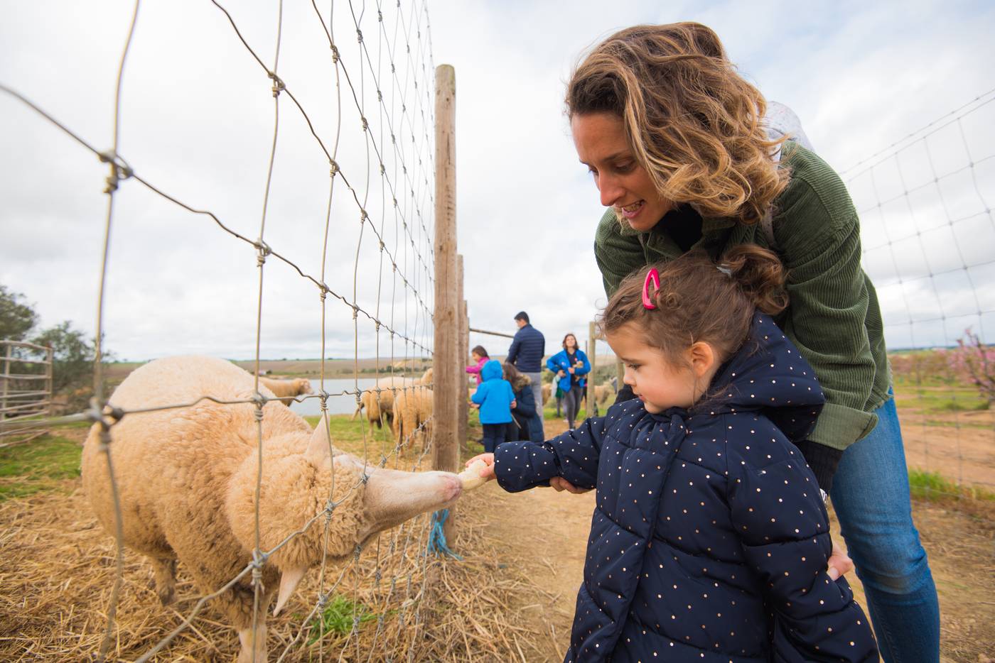 Vila-Gale-Alentejo-Vineyards--Clube-de-Campo--Sports-and-Entertainment-32