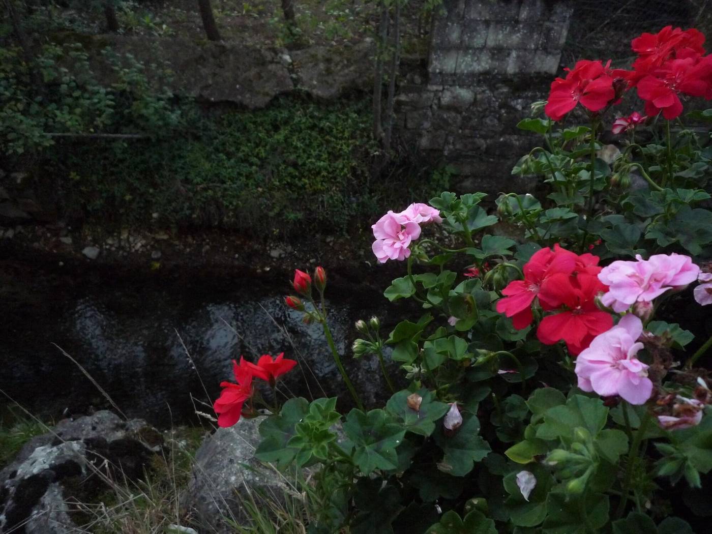 Albergo-Il-Giardino-Del-Rio-General-view-9