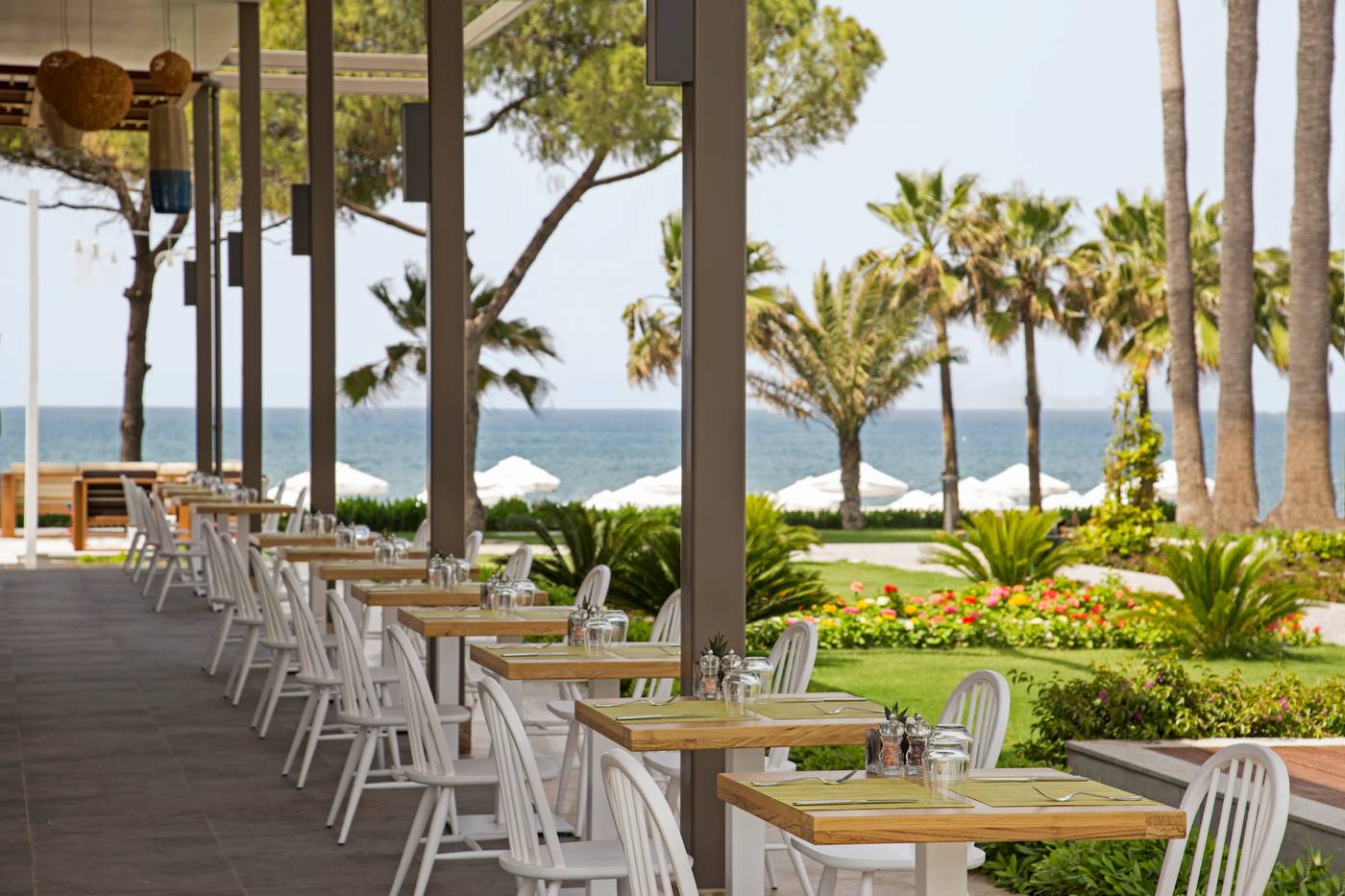 Acanthus-Cennet-Barut-Collection-Bar-18