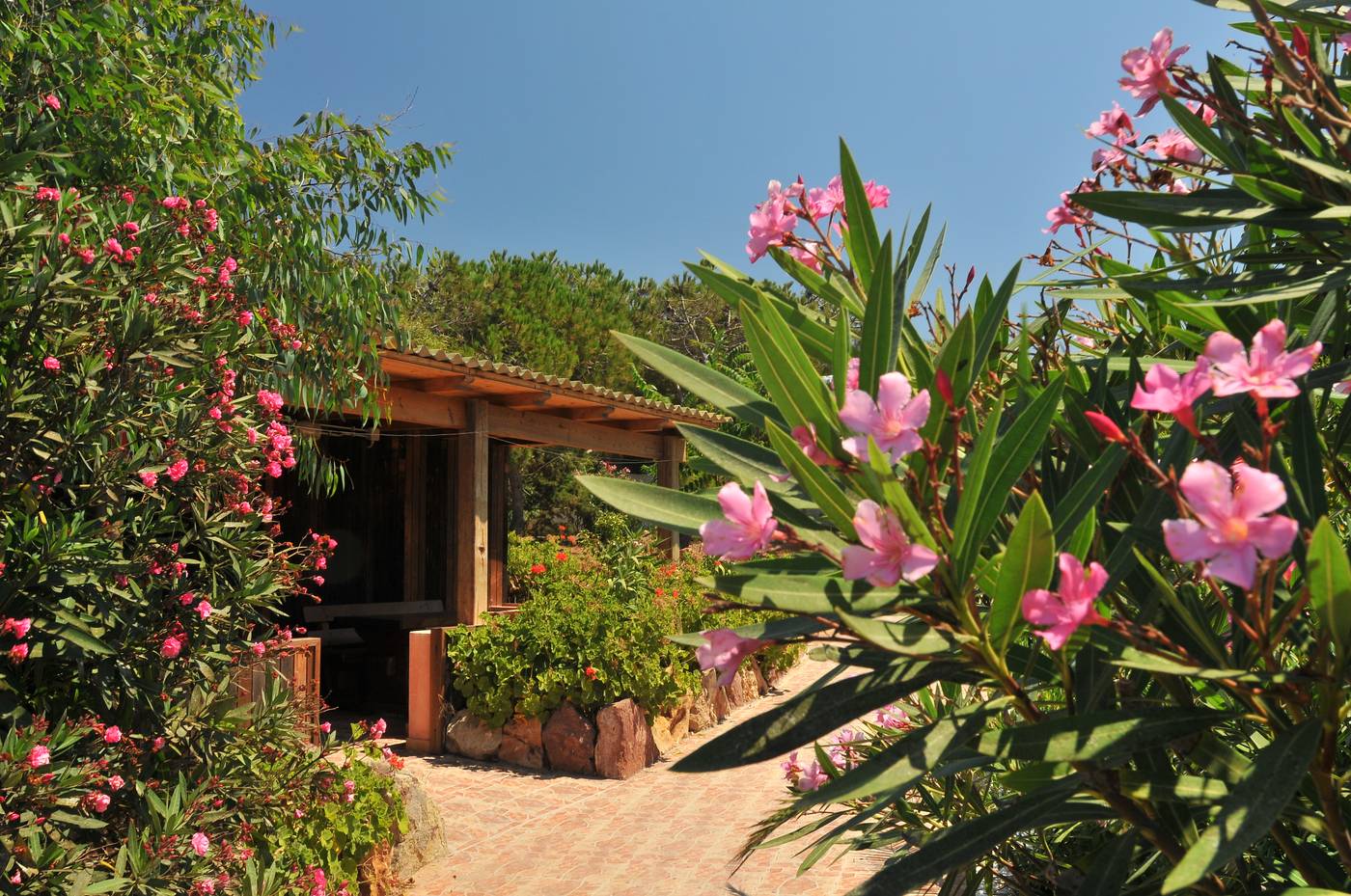 Torre-Del-Porticciolo-Camping---Village---Gampling-Room-13