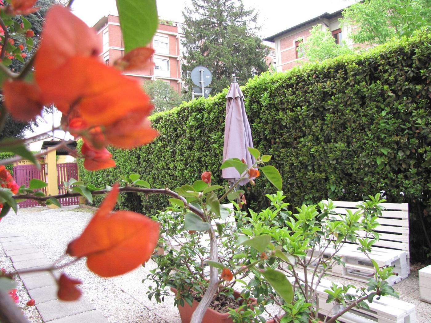 Bella Addormentata E Il Principe Calaf-Italy-LUCCA-General view-9
