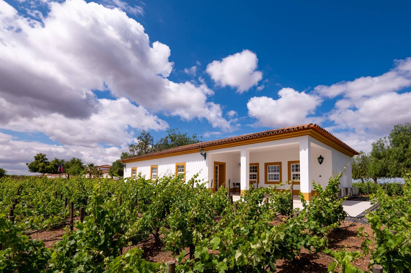 Vila Gale Alentejo Vineyards (Clube de Campo)-Portugal-BEJA-General view-3