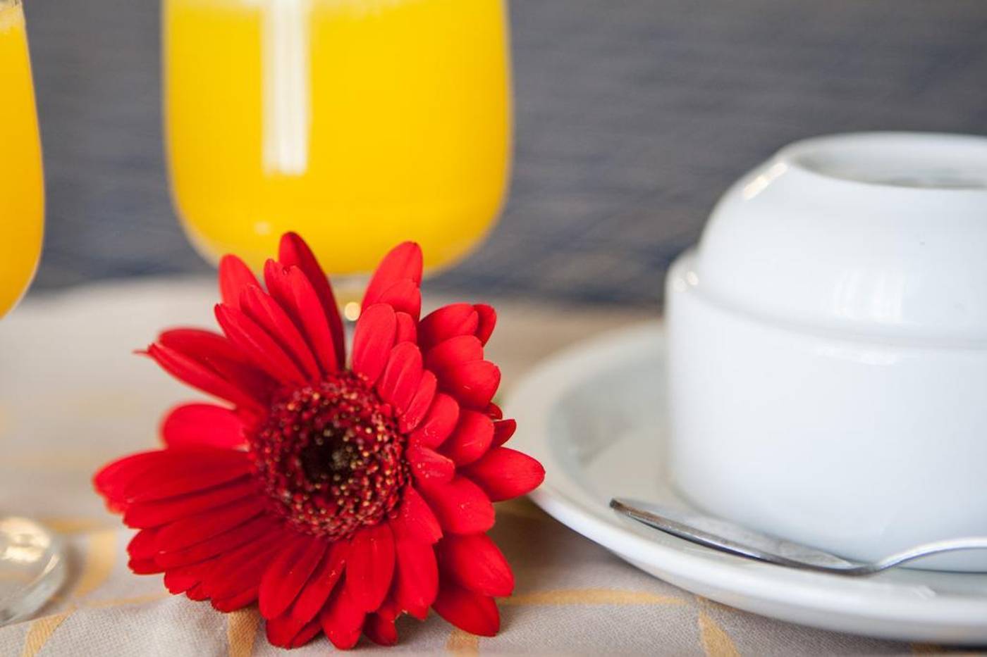 Auto-Park-General-view-18