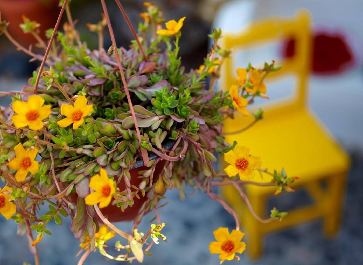 Anna-Apartments-General-view-29