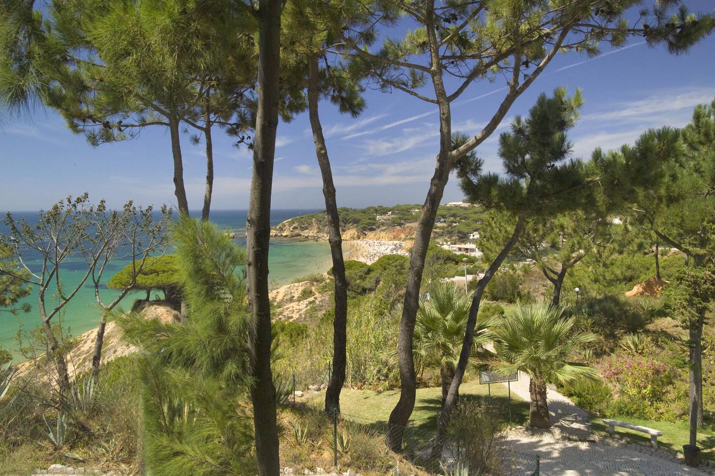 Alfagar-Village-General-view-62