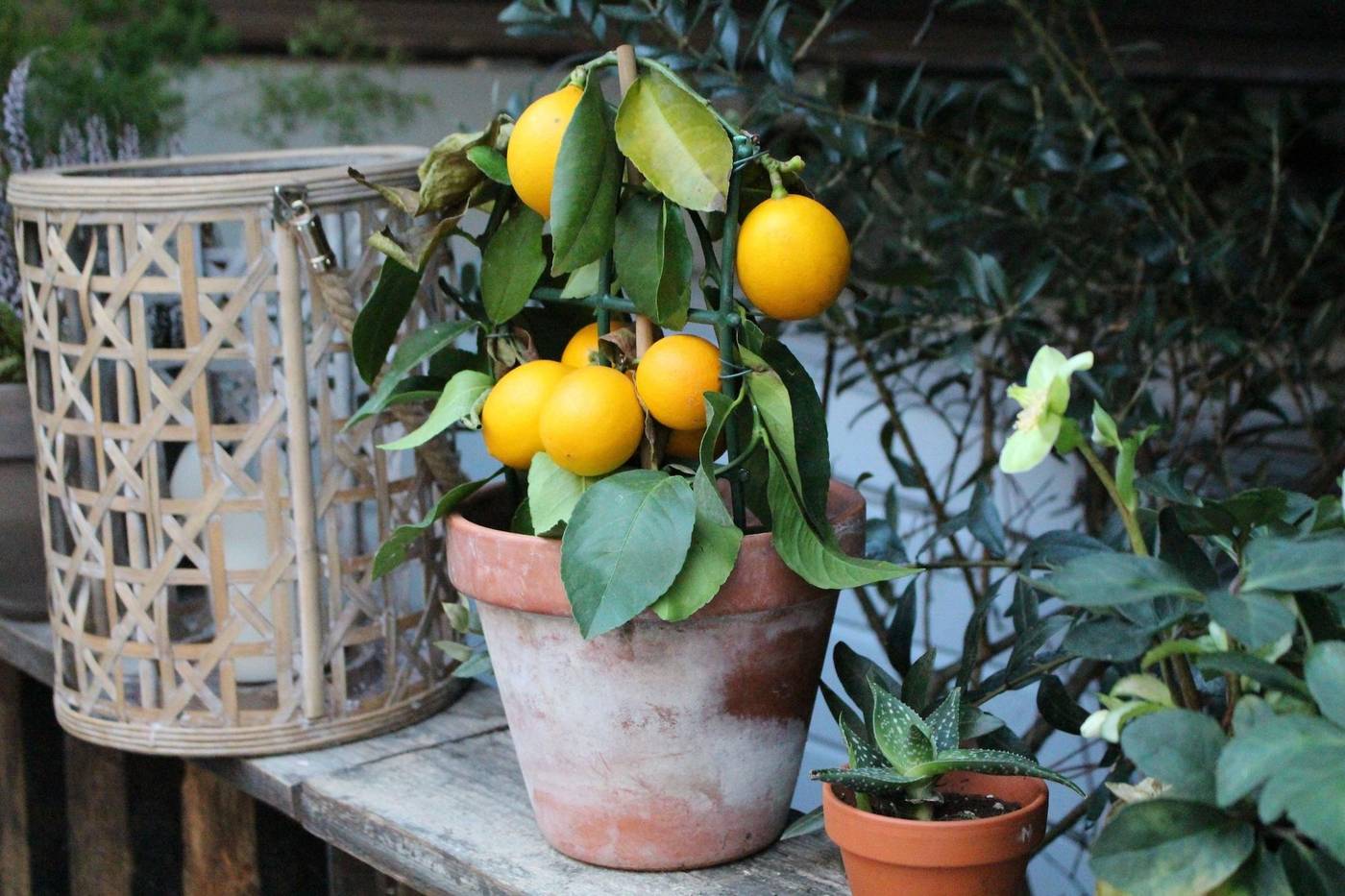 House-Dublin-Lobby-66