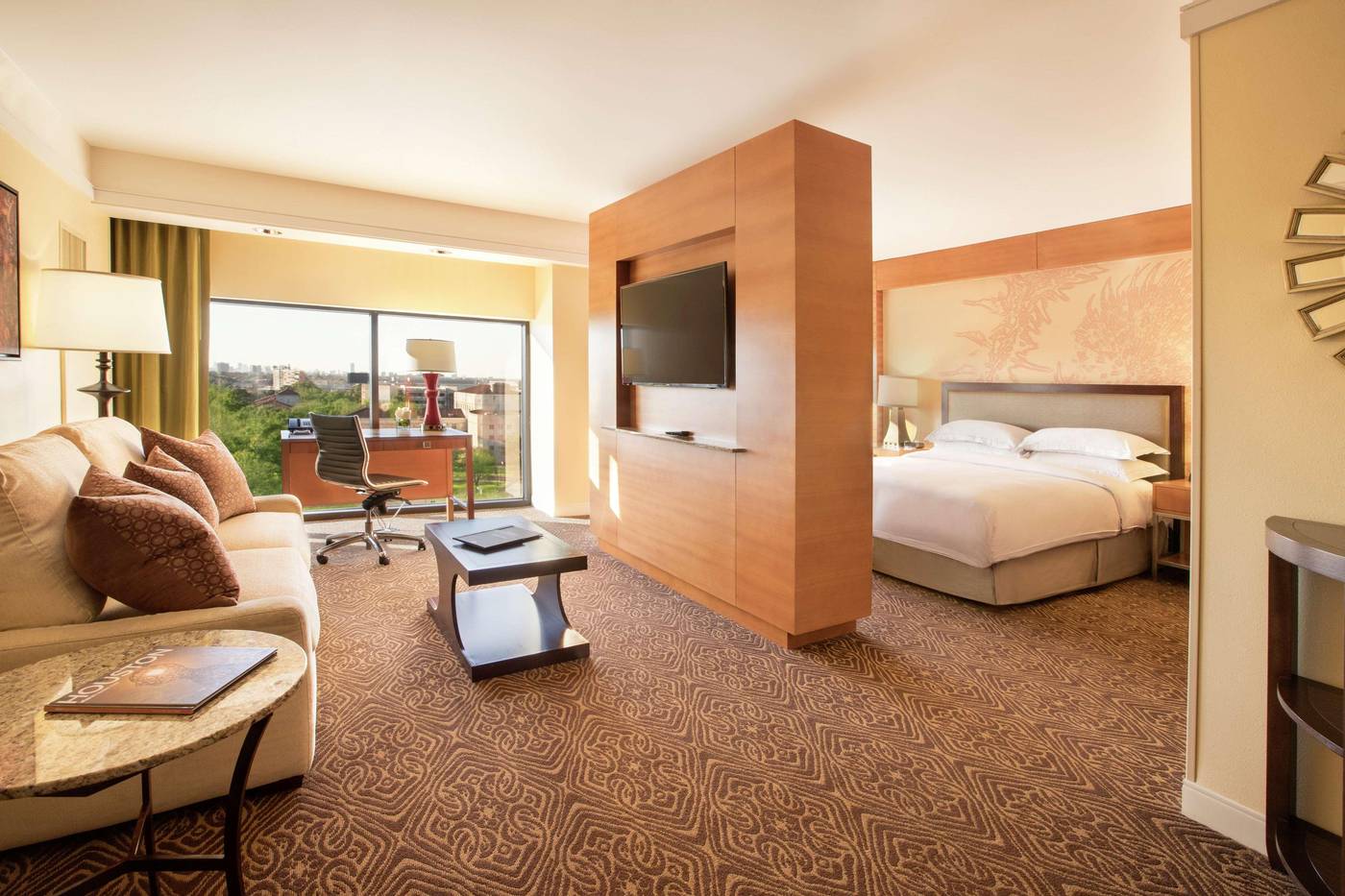 Hilton University of Houston-United States-HOUSTON-Room-9
