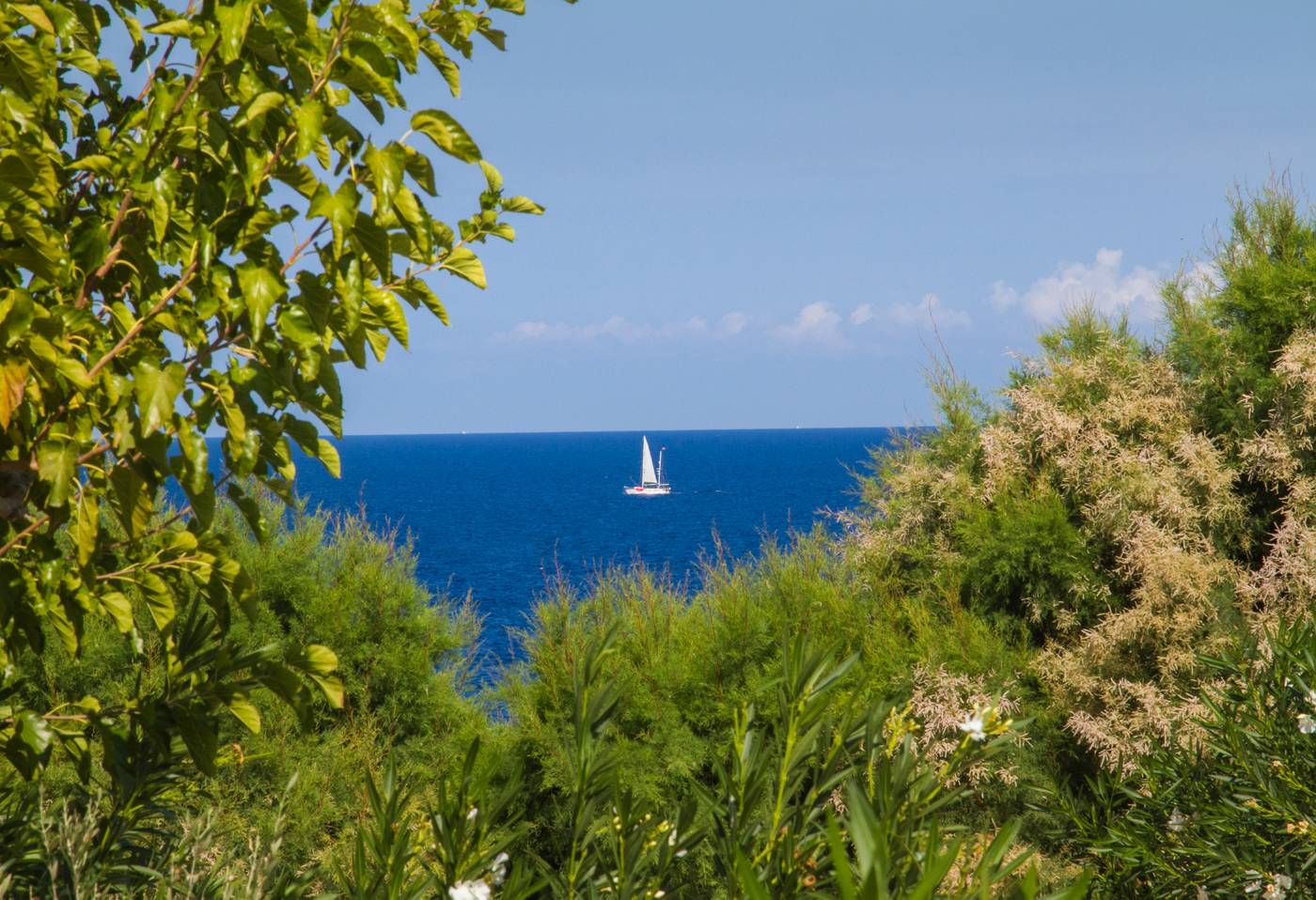 Peninsula-Resort---Spa-Sports-and-Entertainment-79