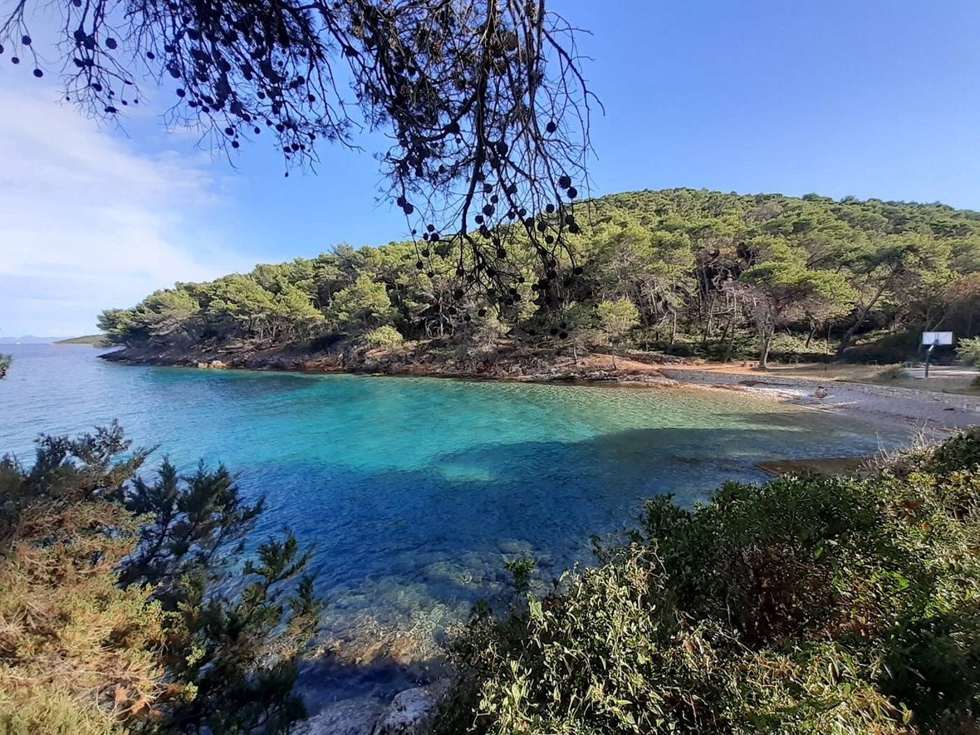 Bozava---Maxim-General-view-20