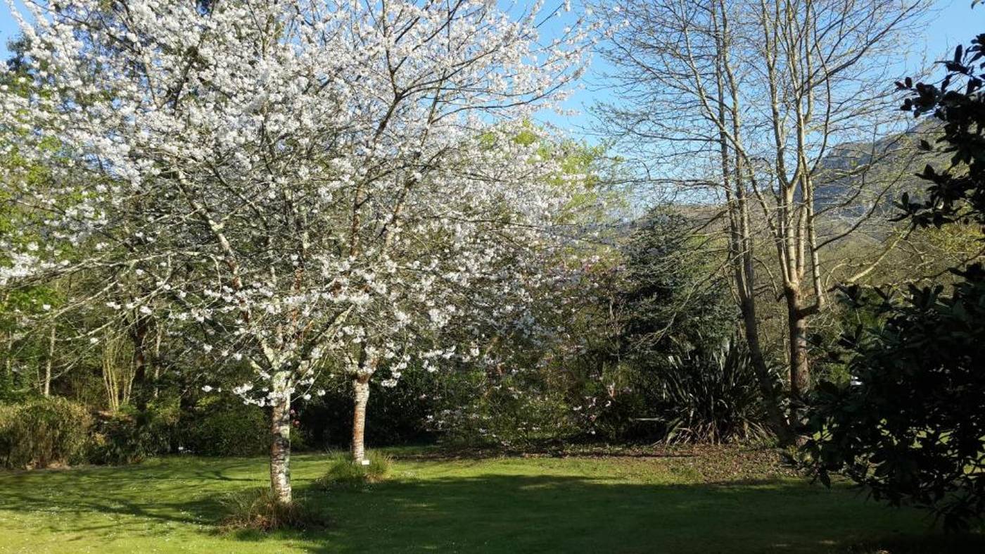 El Habana-Spain-LLANES-General view-3