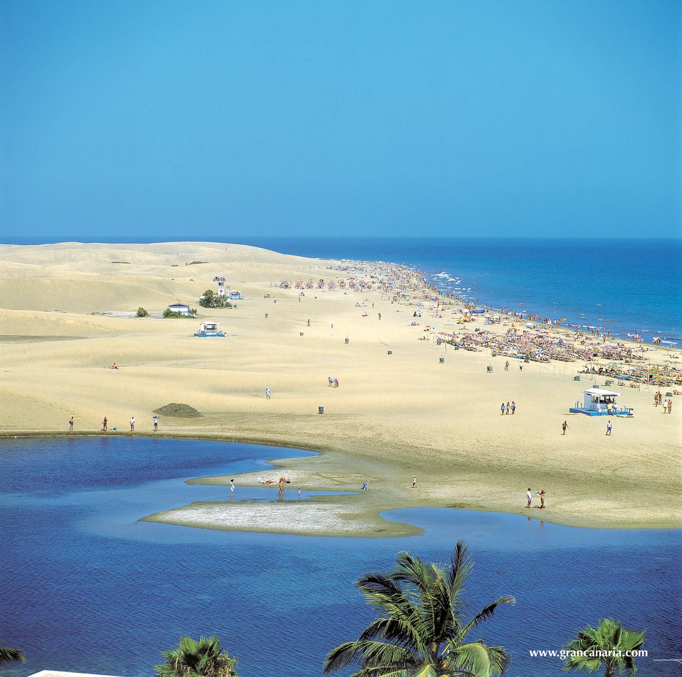 Seaside-Palm-Beach-Beach-68