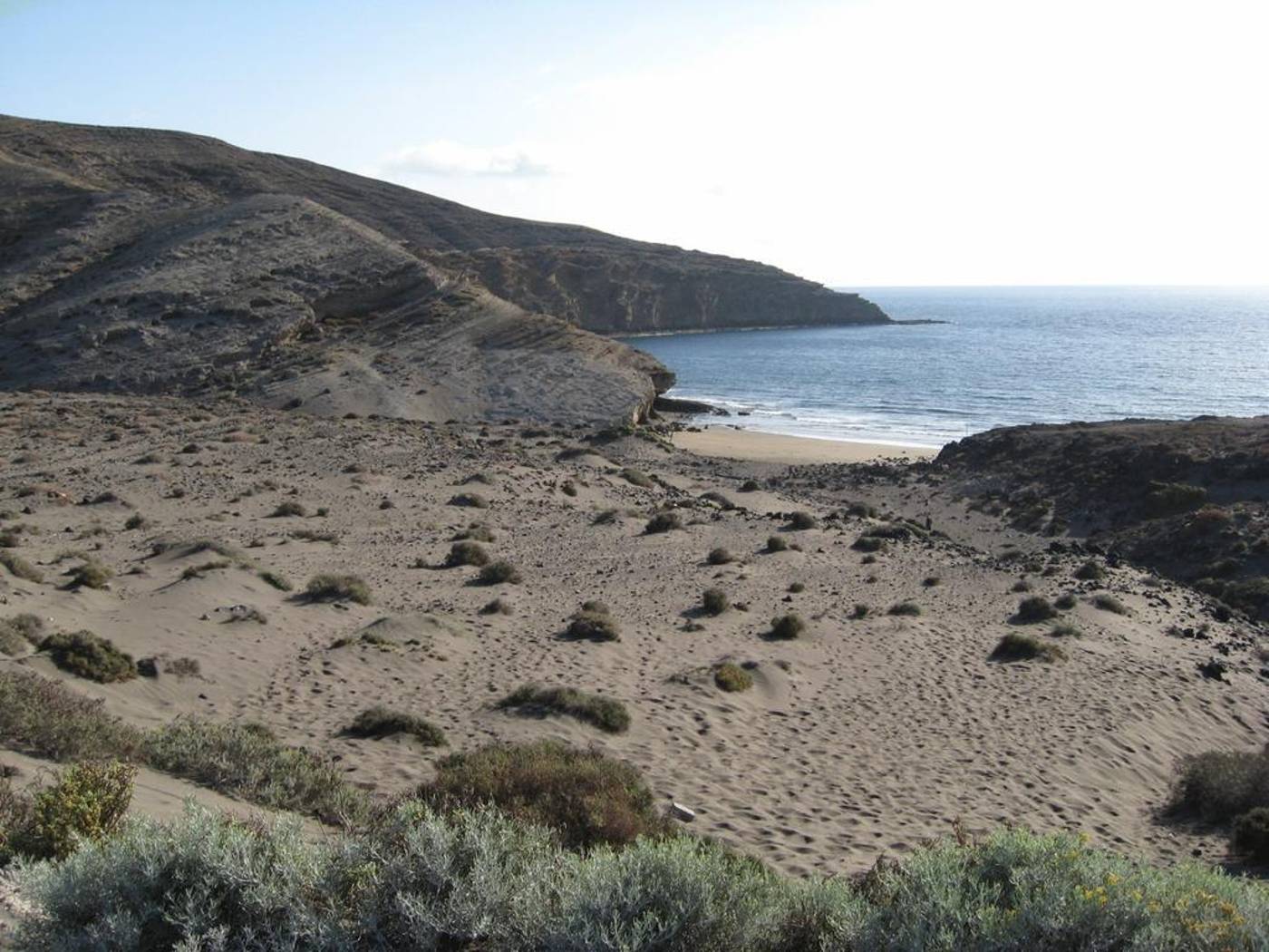 Carel-General-view-15