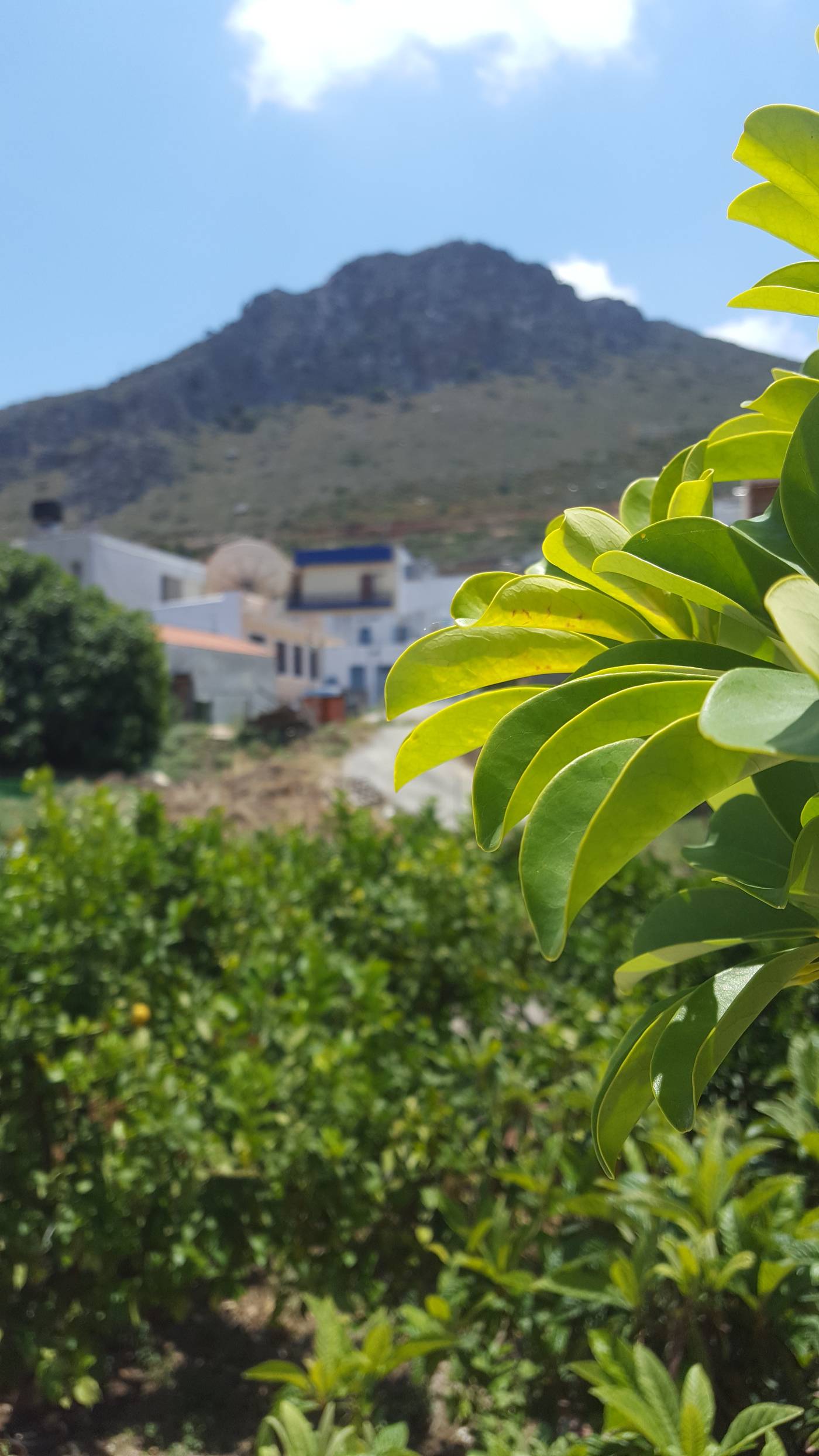 Semiramis-Apartments-General-view-26