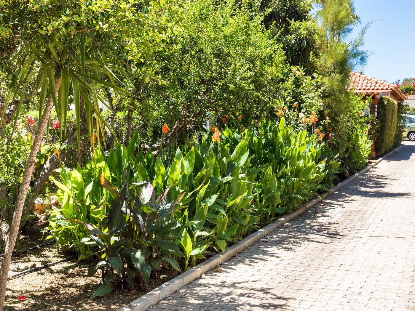 Flor-Da-Laranja-General-view-13