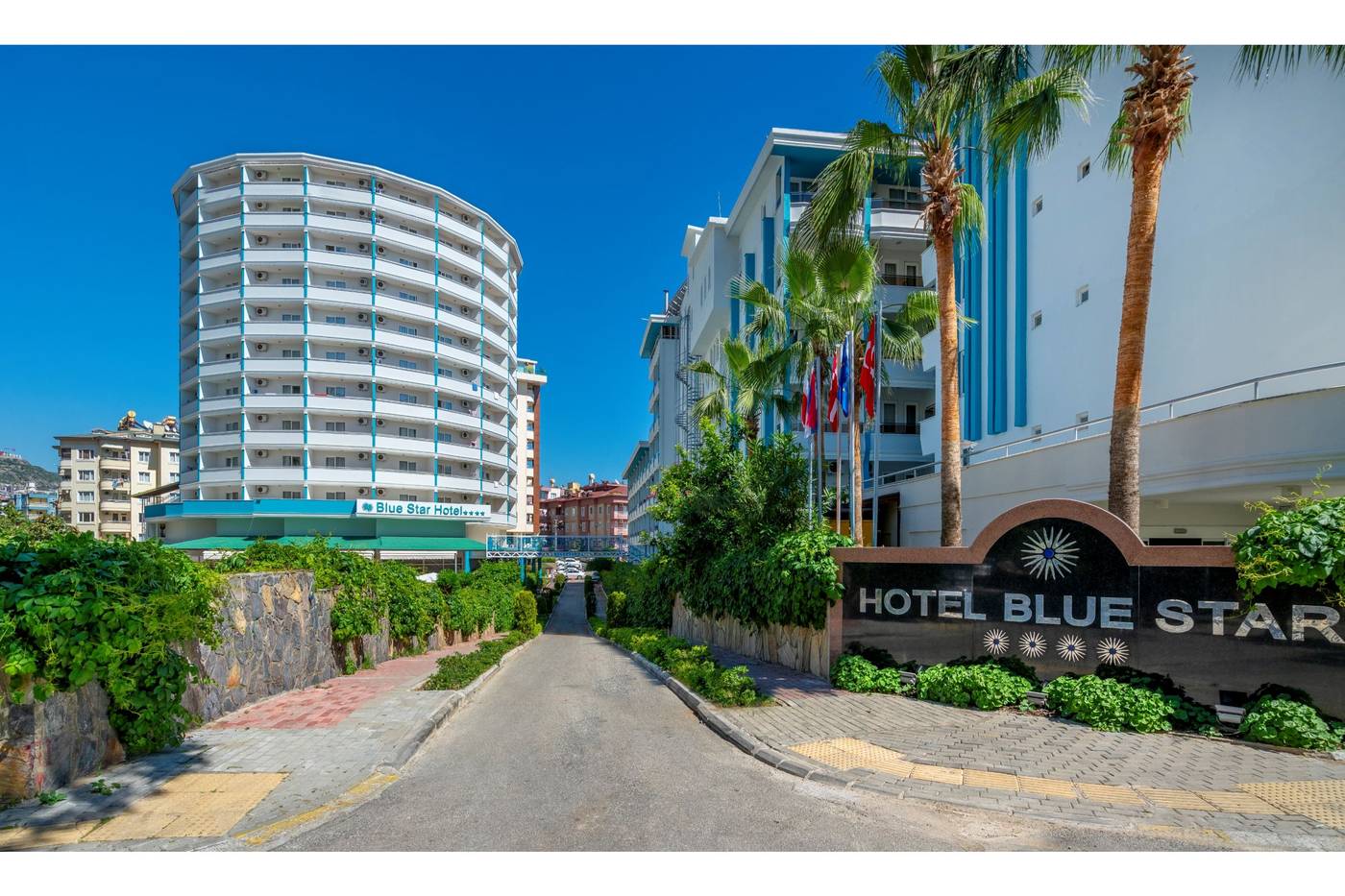 Blue-Star-General-view-19