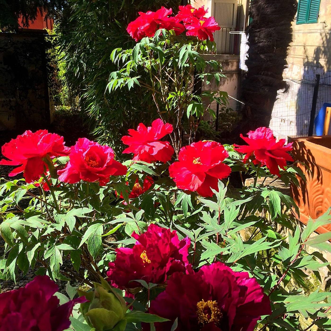 Hotel-Santa-Caterina-Siena-General-view-51