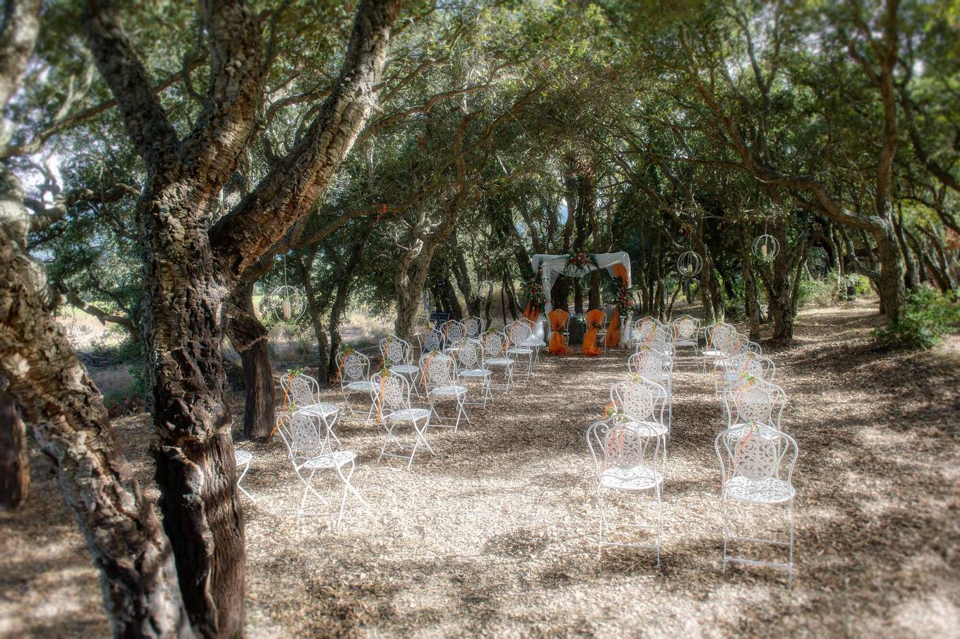 S-ena-Hotel-Sports-and-Entertainment-50