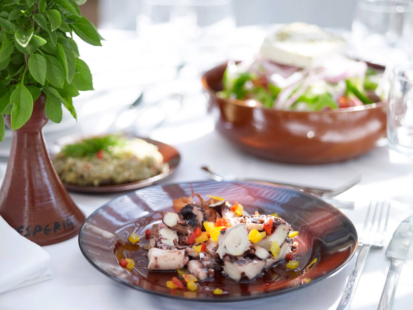 Esperos-Palace-Hotel-Restaurant-23