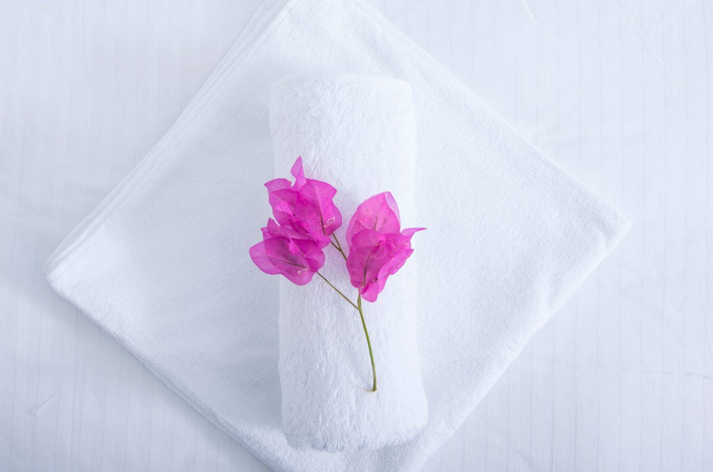 Paradise-Resort-Room-46