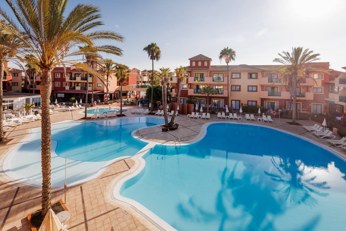 O7 Aloe Corralejo-335.jpg