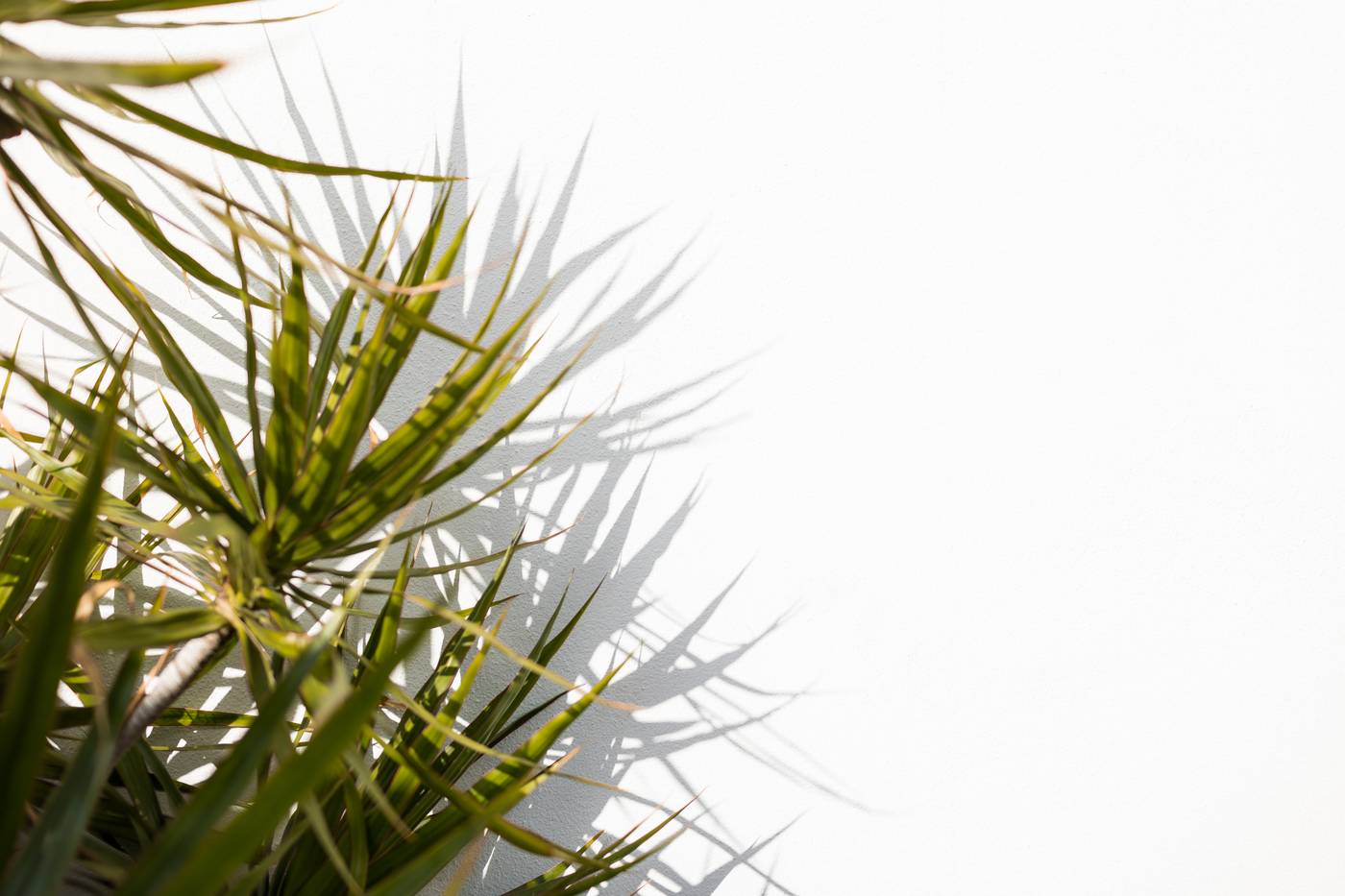 Princesa-Playa-General-view-52