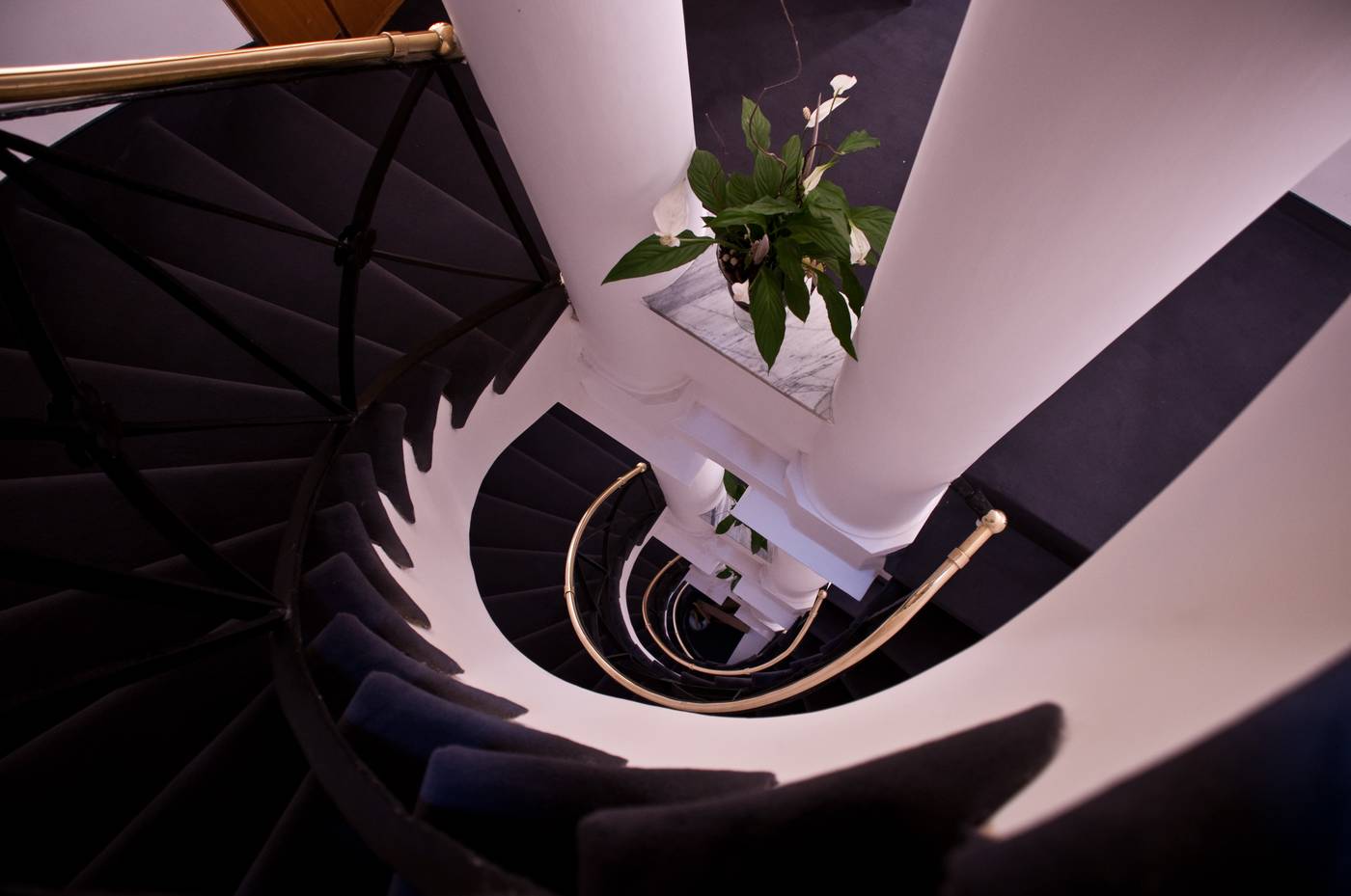 Concordia - Italy - ROMA - Lobby - 3