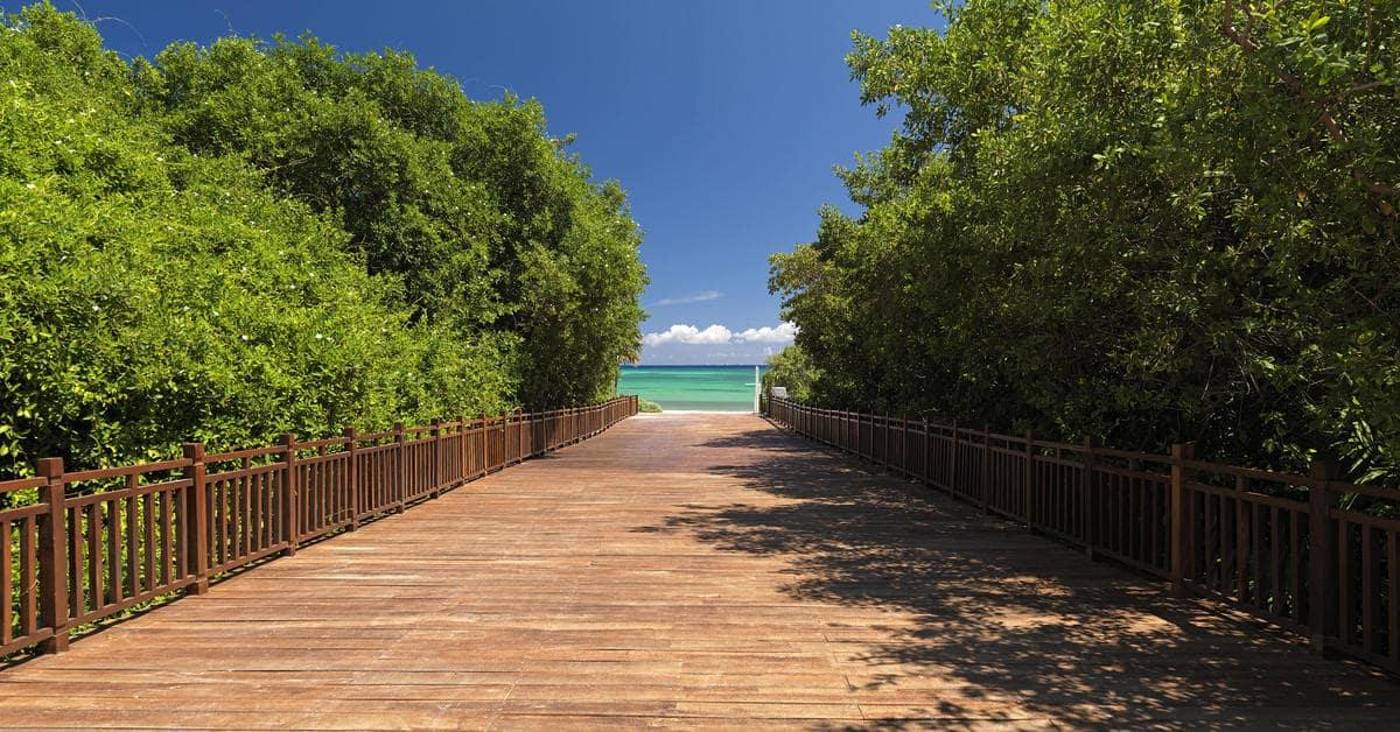 Paradisus-La-Perla-Playa-del-Carmen---Adults-Only-General-view-108