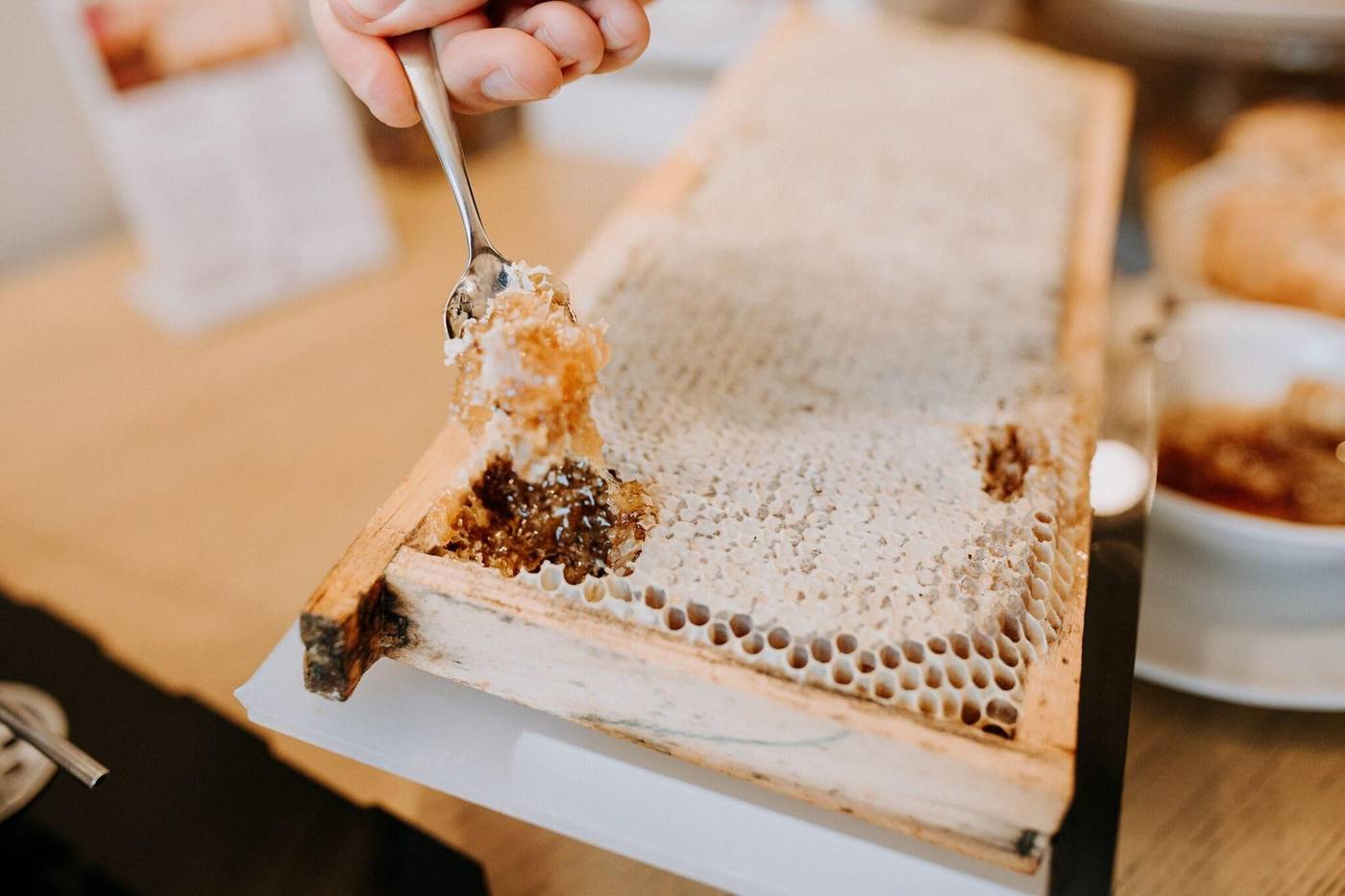 Villa-Patriarca-Restaurant-42