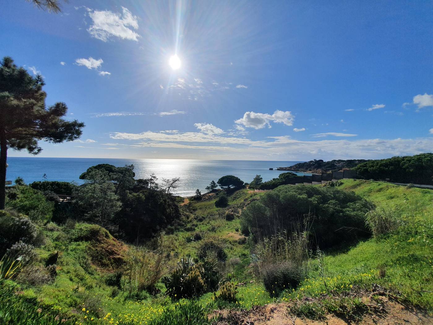 Quinta-Pedra-Dos-Bicos-General-view-49