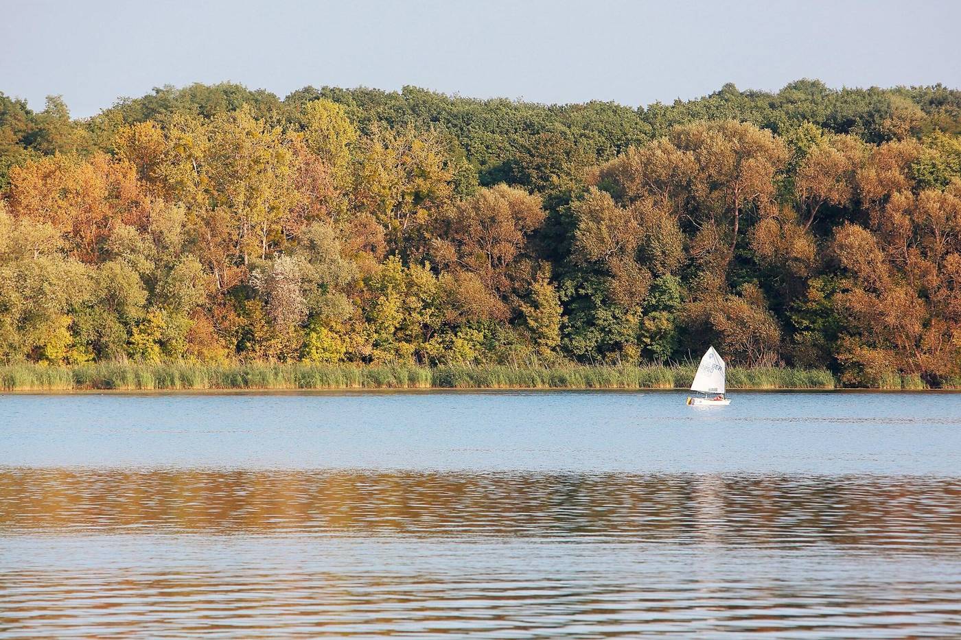 Inselhotel-Potsdam-General-view-85